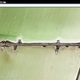 Illustration for article titled This Chrome Extension Turns New Tabs Into Aerial Art